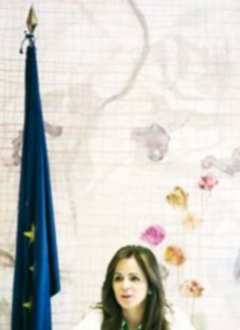 Silvia Clemente preside la reunión del Consejo Regional Agrario. / M.C. (Ical)