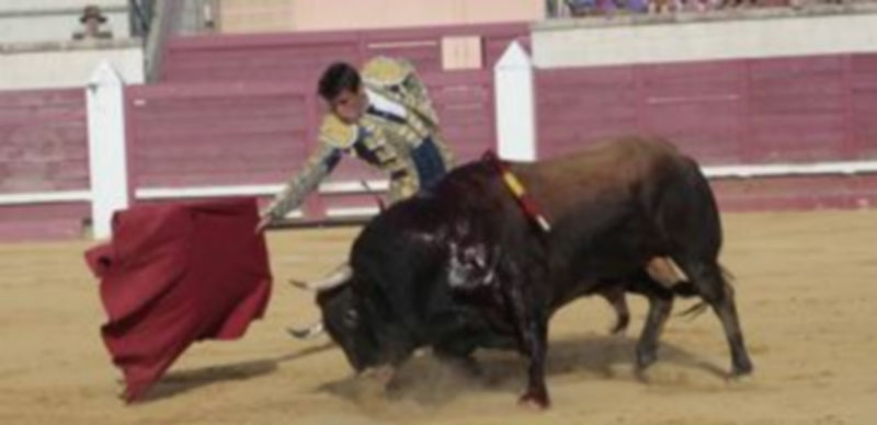 Miguel Tendero toreó excepcionalmente a un toro de Pedrés en Cantalejo. / E. A.