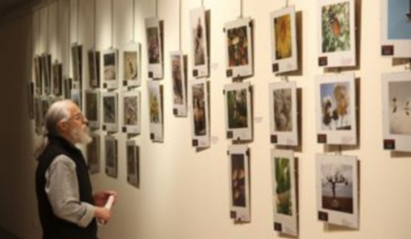 La exposición puede visitarse hasta el 30 de abril en la sala de exposiciones del Centro Cronista Herrera. / Gabriel Gómez