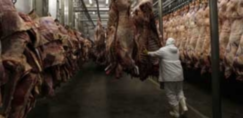 Hacienda calcula que 3.000 empresas de cárnico falsean sus cifras 1 La operación consistió en la entrada y registro de las empresas. / Europa Press