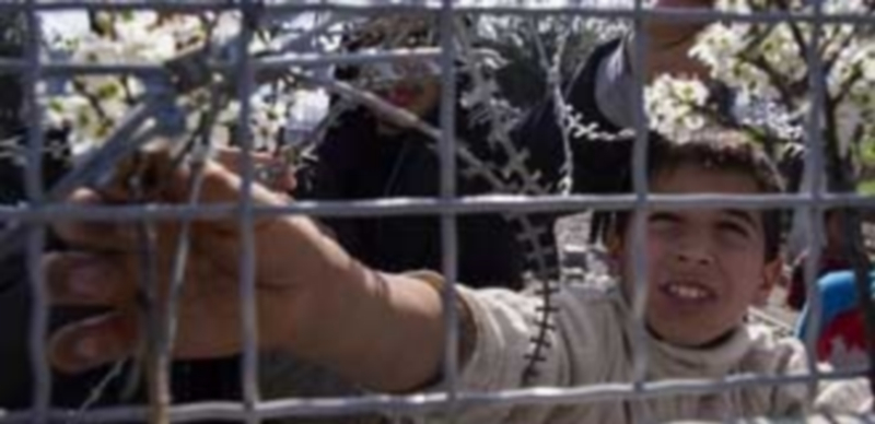 Un niño coloca flores en la valla fronteriza mientras espera en la parte griega poder cruzar a Macedonia. / EFE