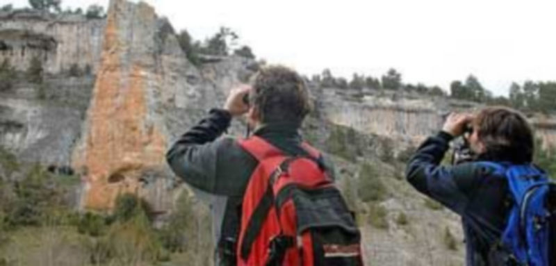 Los aficionados podrán disfrutar observando las aves en la Tierra de Pinares. / El Adelantado.