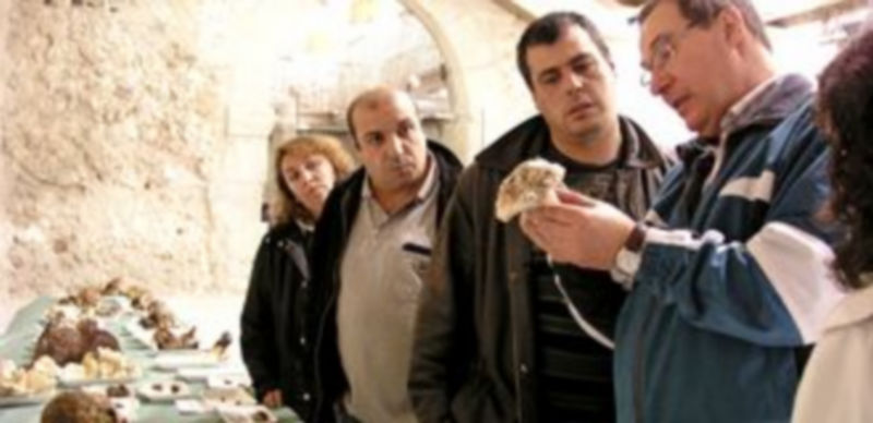 Los aficionados podrán conocer las características de los ejemplares y resolver sus dudas./Gabriel Gómez