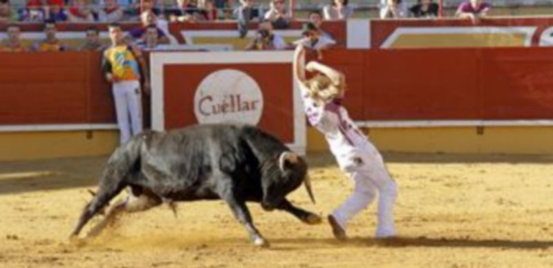 Los festejos taurinos de 2012 han vuelto a arrojar pérdidas
