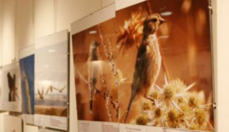 Cronista Herrera  acogerá la exposición fotográfica del concurso. /gabriel gómez