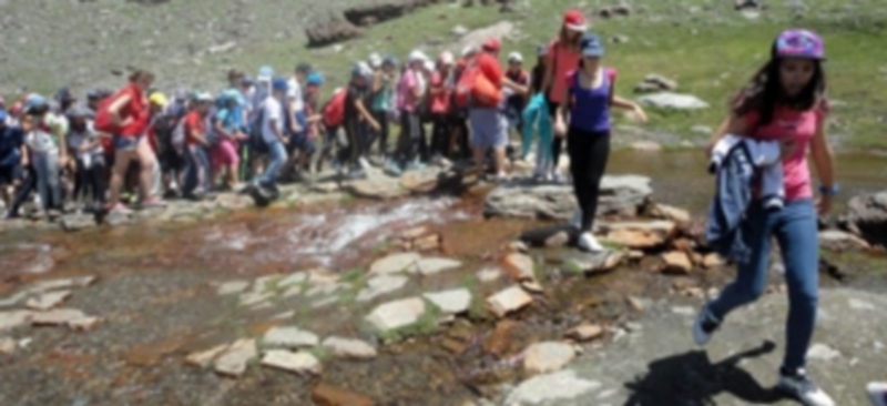 Más de 2.800 jóvenes disfrutan de los campamentos de la ‘Red Activa 2015’ 1 Los jóvenes de entre 9 y 17 años podrán compartir experiencias y disfrutar del verano uniendo formación y aventura. / Efe