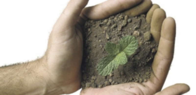 Hacia una nueva ley de arrendamientos 1 241082