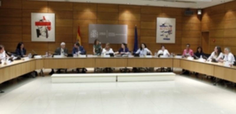El Gobierno aportará un 17% más a la región para violencia de género 1 Los participantes en la Mesa Sectorial de Igualdad