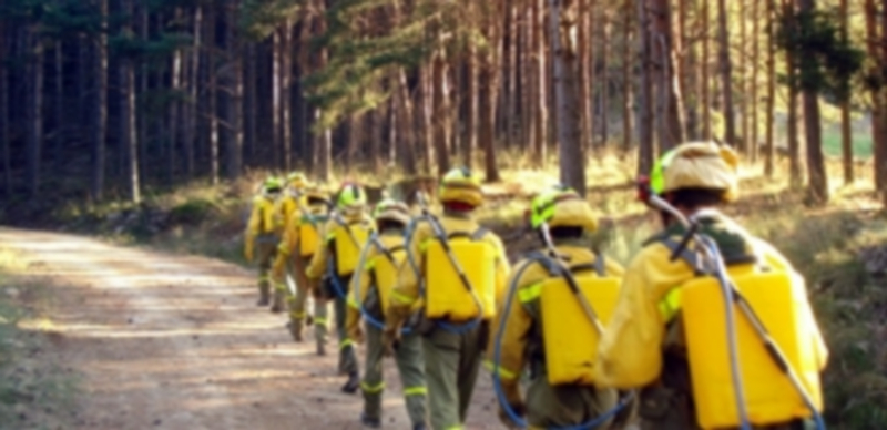 Un grupo de agentes forestales acude de refuerzo a sofocar un incendio. / Agencias