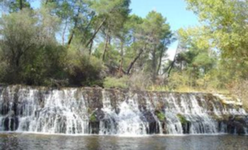 Azud que la CHD pretendía desmantelar esta semana dentro de una actuación de limpieza de cauces. / El Adelantado