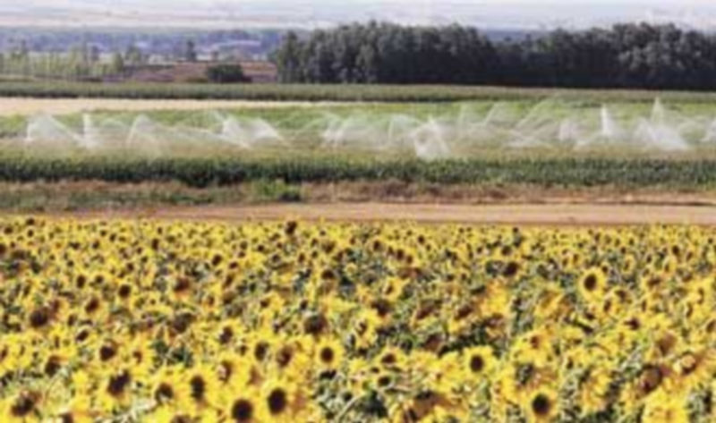 La modernización de los regadíos es una de las líneas de ayudas a las explotaciones agrarias. / Ical.