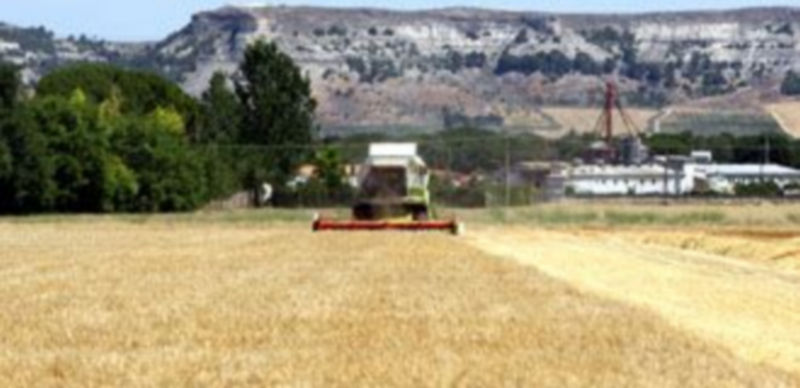 Imagen de archivo de una cosechadora en plena faena recolectora en un campo de cereal de Castilla y León. Según los sindicatos
