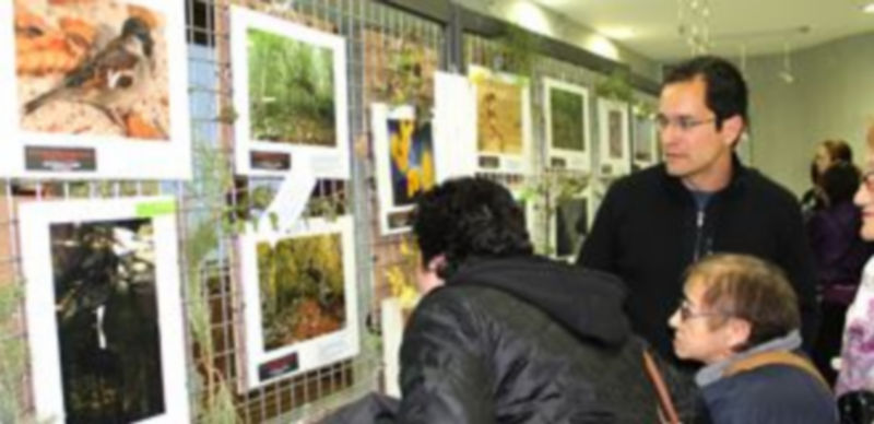 Las fotografías ganadoras del premio al mejor conjunto captaron la atención de los visitantes./ Gabriel Gómez