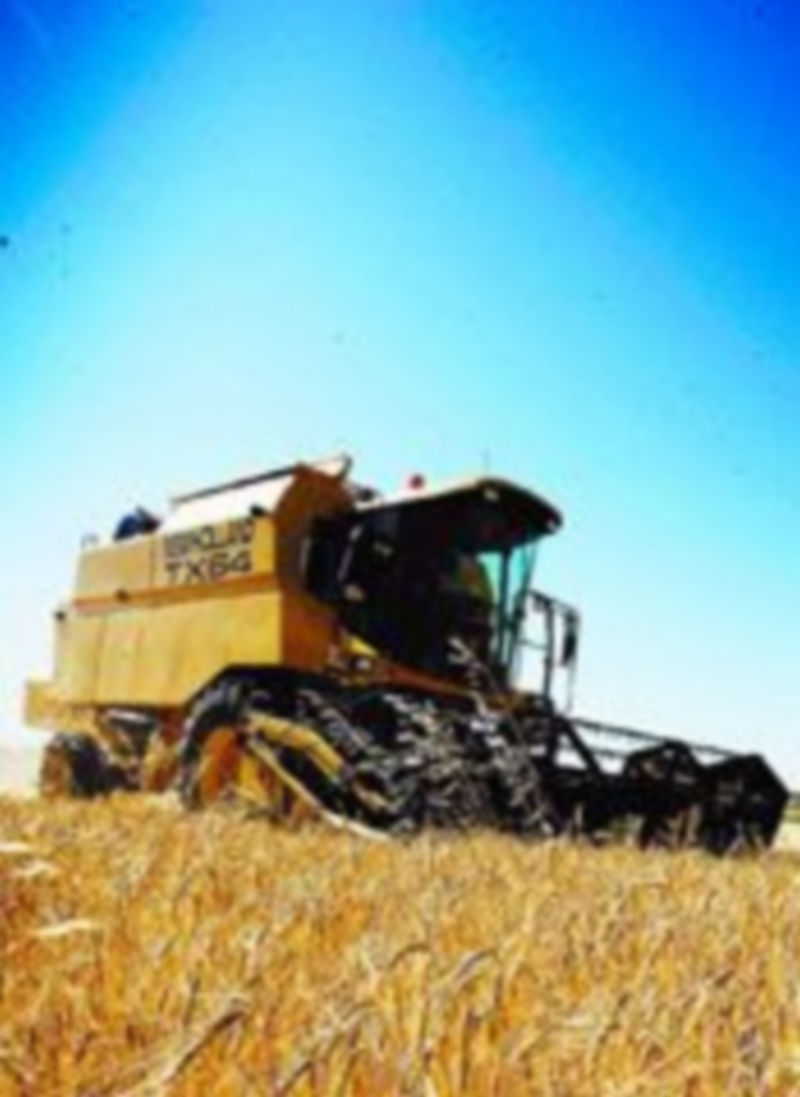 Definir la superficie elegible será uno de los grandes debates. / Alberto Rodrigo