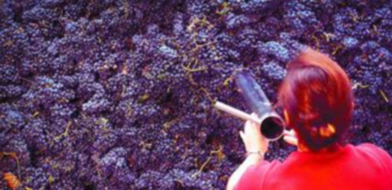 Sin llegar a la euforia