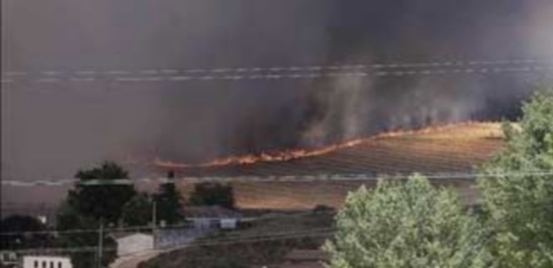 Un incendio con cuatro focos pone en alerta a las localidades burgalesas de Villagonzalo y Renuncio. / Ricardo Ordóñez (ical)