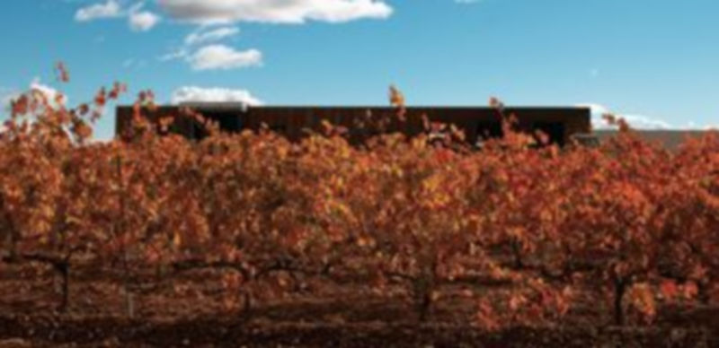 Las DO de Castilla y León suman 23 nuevas bodegas el último año 1 Imagen de viñedos y la bodega Leyenda del Páramo