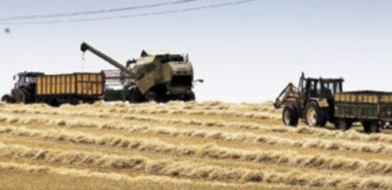 Un aspecto importante para España es tener la posibilidad de fijar el volumen de hectáreas elegibles donde asignar las ayudas. / Alberto Rodrigo