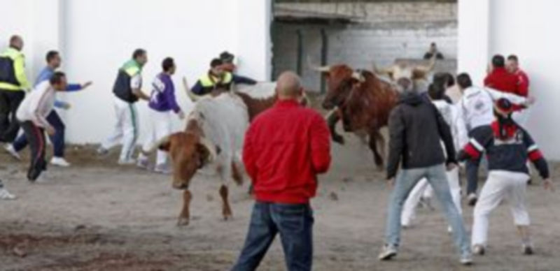Cuando el texto se haya publicado