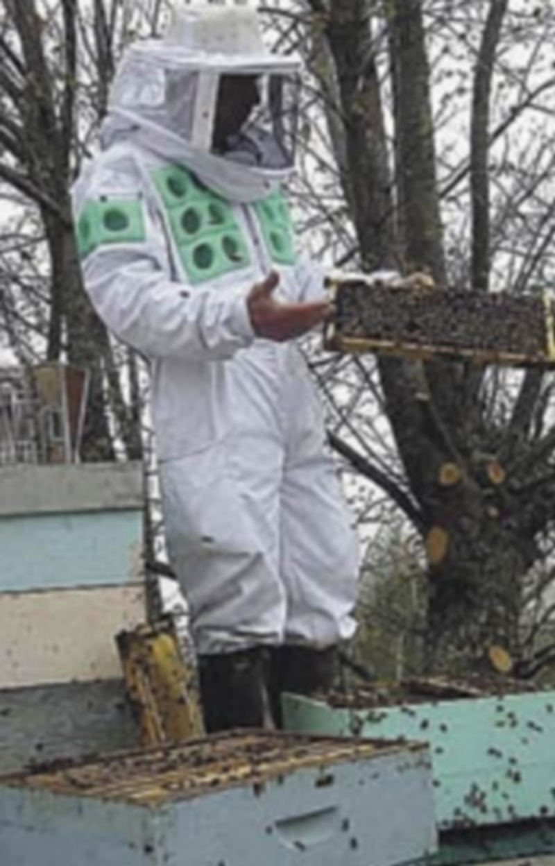 Un apicultor en sus colmenas. / Ep.