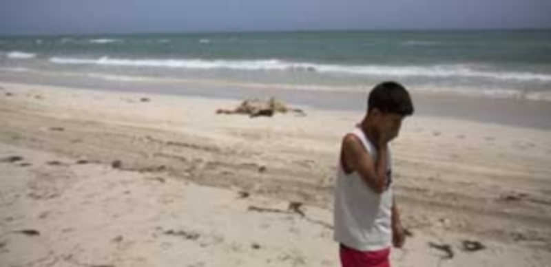 Un niño camina junto a los cuerpos sin vida de inmigrantes aparecidos en una playa al oeste de Trípoli en Libia. / EFE