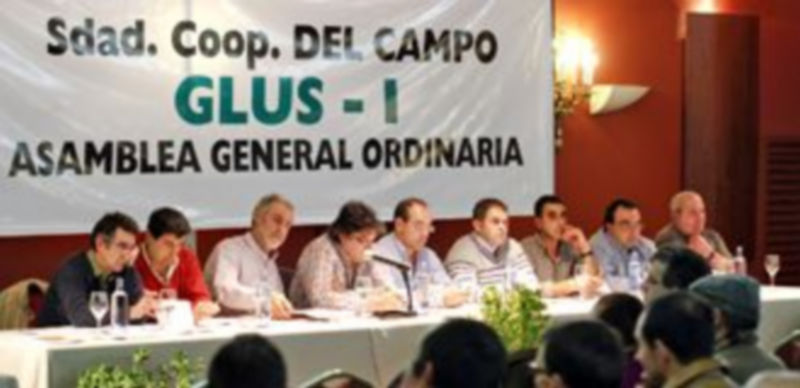 El consejo rector de la cooperativa