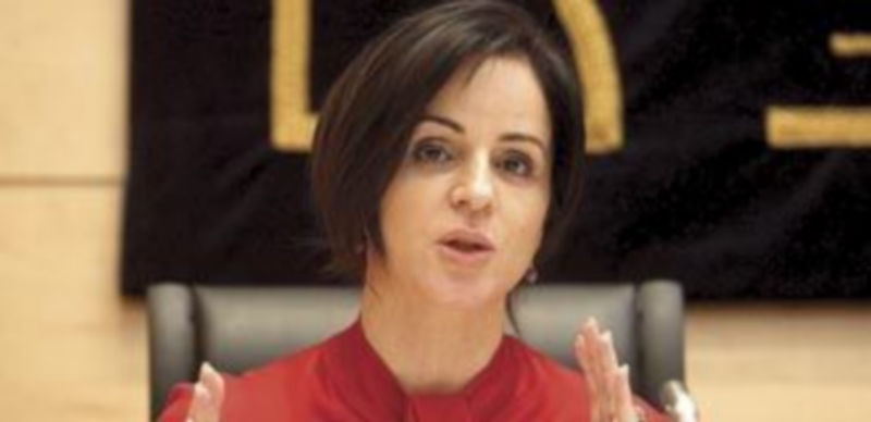 Silvia Clemente explica en rueda de prensa el anteproyecto de Ley Agraria. / Ical