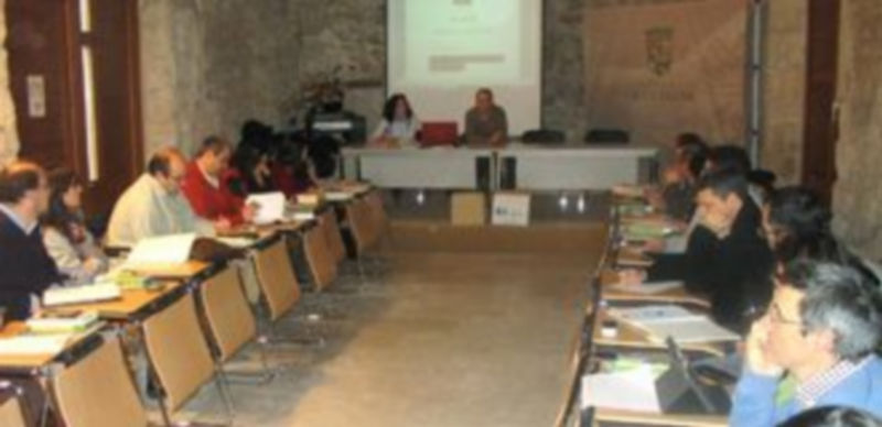 Participantes en la reunión de trabajo que se ha celebrado en la villa de Cuéllar. / El Adelantado