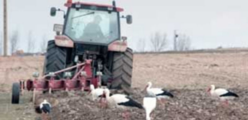 Un agricultor segoviano