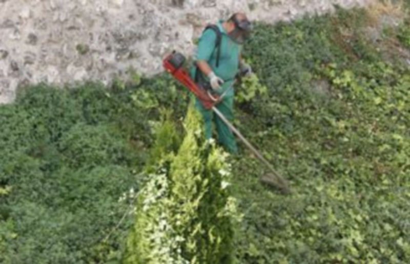 Servicios municipales acapara muchos de los contratos. /gabriel gómez