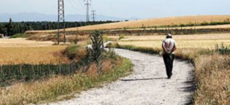 Estado actual del Camino del Santillo que discurre junto al Punto Limpio de la villa