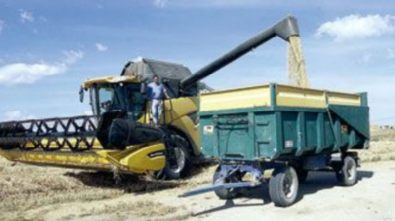 La actividad agrícola tiene la mejor perspectiva para 2010