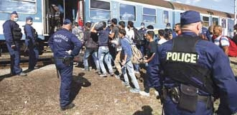 Policías húngaros guían a refugiados a un tren tras haber cruzado la frontera con Croacia