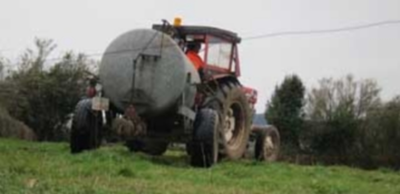 La Junta ultima un nuevo decreto que eliminará el sistema de cupos 1 Las juntas agrarias locales adjudicarán el reparto de los pastos. / Europa Press