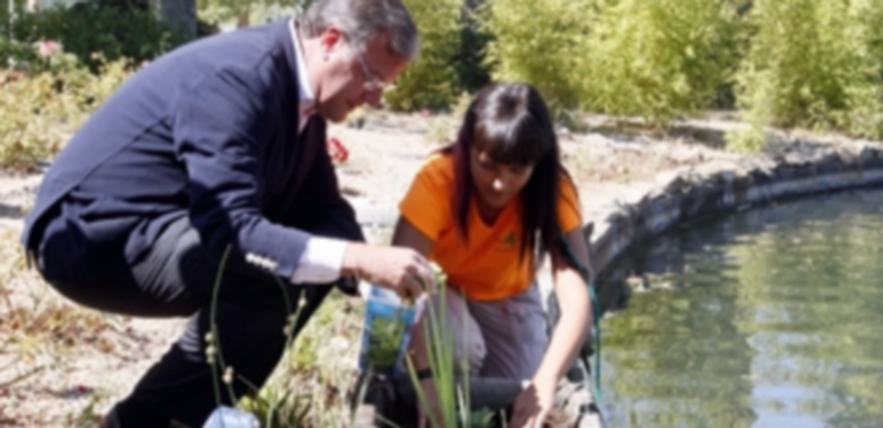 El consejero de Fomento y Medio Ambiente