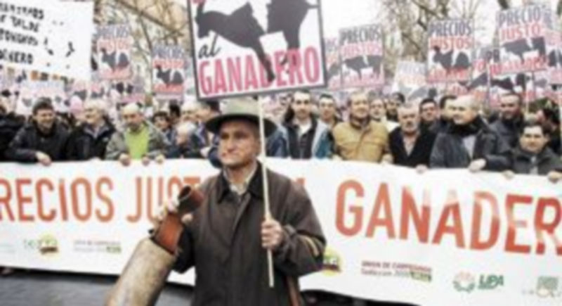 La lluvia no amilanó a los ganaderos castellanos y leoneses que recorrieron las calles del centro de Valladolid en una manifestación de protesta. / Ical.