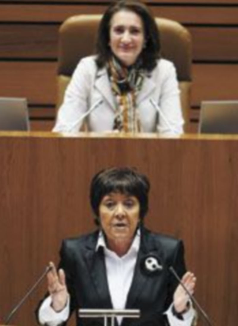 La procuradora socialista Mercedes Martín