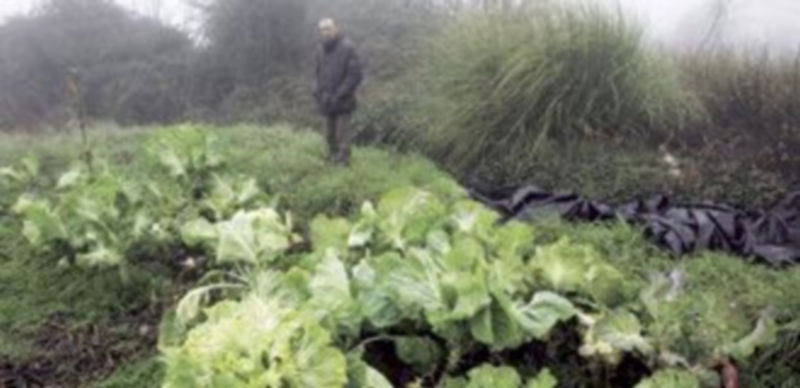 Explotación agraria situada en una zona de montaña de la provincia de Salamanca. / Ical