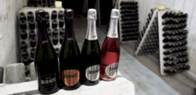 Variedades del espumoso ‘Palacio de Bornos’ que comercializa en Rueda la Bodega de Sarriá. /Ical