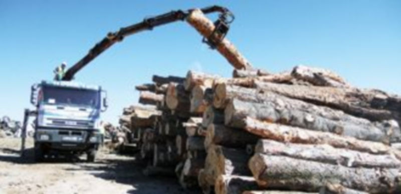 La Junta lleva a cabo una actuación con el sector de la madera para incrementar la cuota de mercado de sus empresas.  / Ical