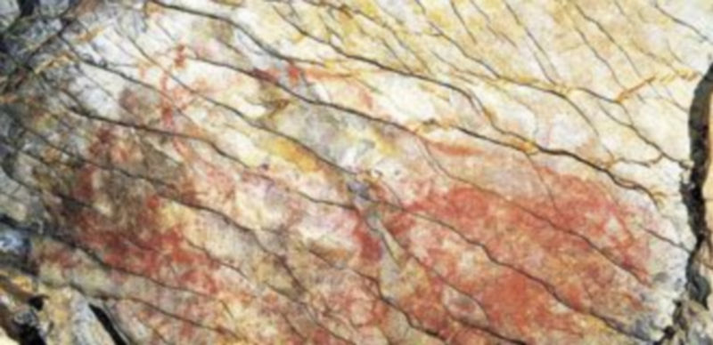 Pintura rupestre de la cueva guipuzcoana de Altxerri situada en una de las galerías superiores. / Universidad de Cantabria
