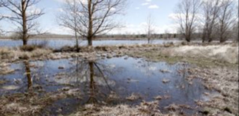 La exposición mostrará la riqueza natural que atesora la Tierra de Pinares. / Gabriel Gómez