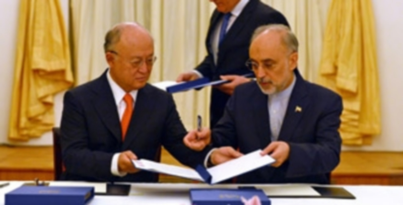 El director del Organismo Internacional de Energía Atómica