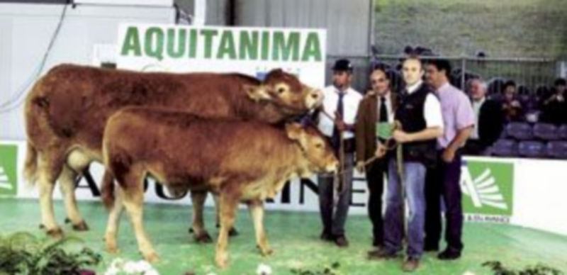 El director general Política Agraria Comunitaria de la Junta