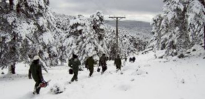 Varios trabajadores de la compañia solucionan distintas incidencias.