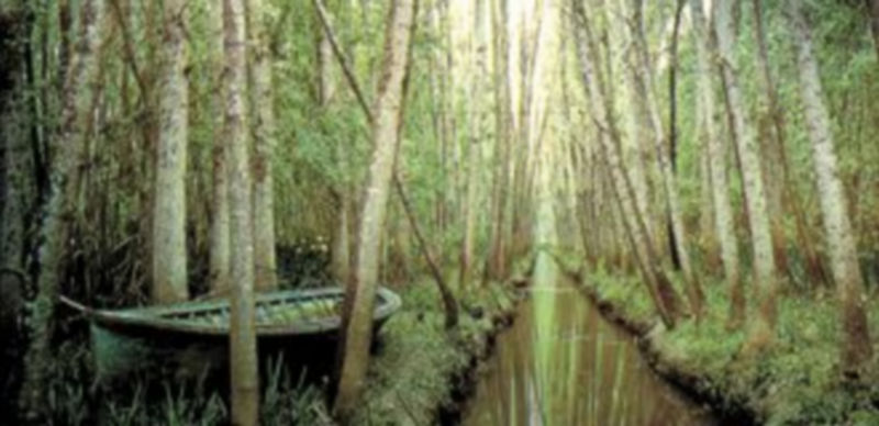 Las zonas más inhóspitas del Delta son aquellas que se encuentran en el interior y alejadas de la ciudad de Buenos Aires. / DPA