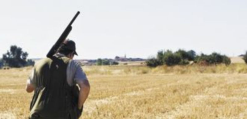 Un cazador conduce a sus perros durante una jornada de caza en la provincia de Zamora. / Ical.