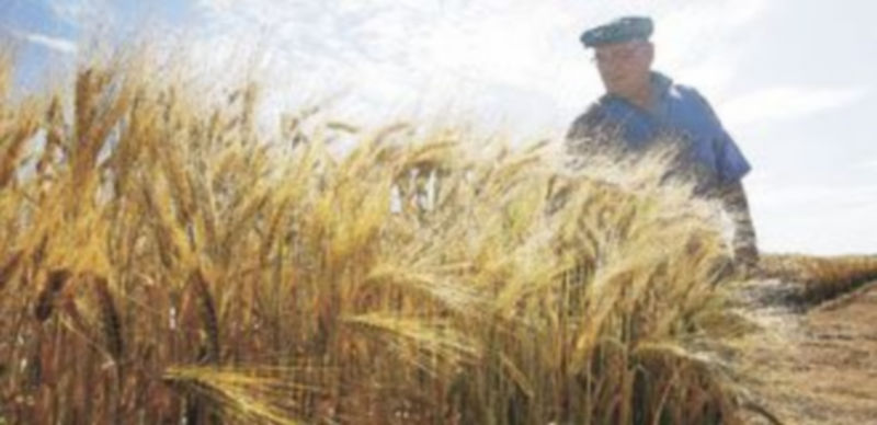 La actual PAC surgió en 1962 con el objetivo de lograr unas importantes tasas de autobastecimiento. / Rubén Serrallé