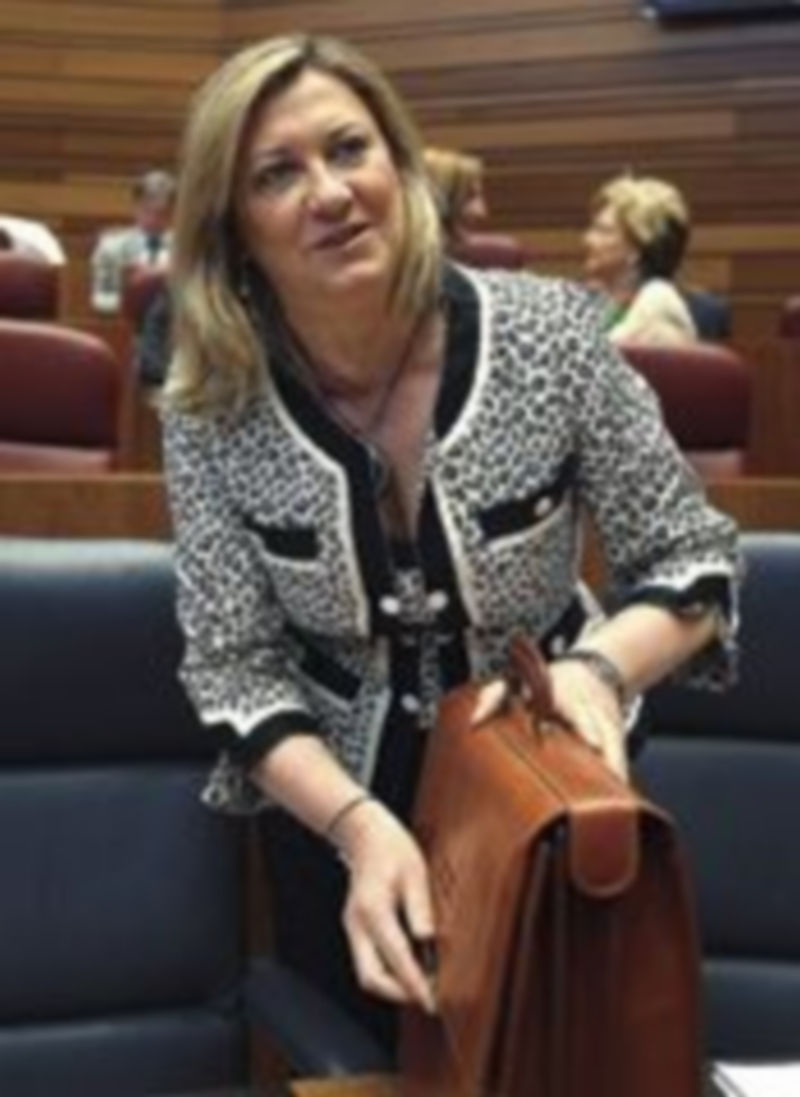 El PP tumba las enmiendas a unas cuentas «orientadas» al empleo 1 La consejera de Hacienda