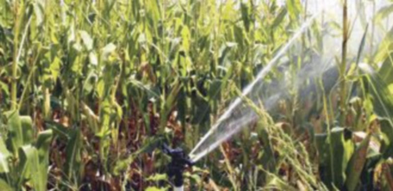 25 comunidades de regantes se verán afectadas por la medida. / Ical